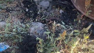Задержано одно лицо по факту убийства в Мердзаване